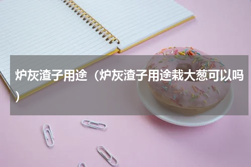 炉灰渣子用途（炉灰渣子用途栽大葱可以吗）