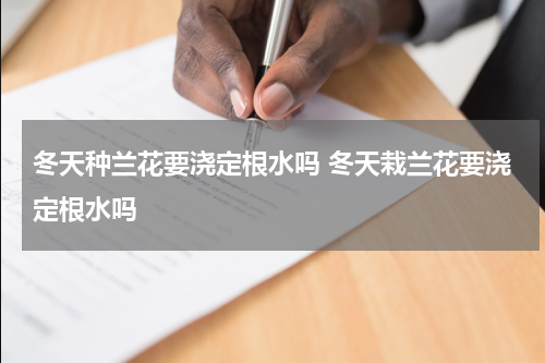 冬天种兰花要浇定根水吗 冬天栽兰花要浇定根水吗