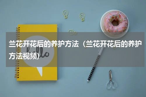 兰花开花后的养护方法（兰花开花后的养护方法视频）