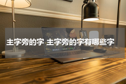 主字旁的字 主字旁的字有哪些字