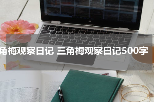 三角梅观察日记 三角梅观察日记500字