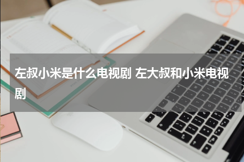 左叔小米是什么电视剧 左大叔和小米电视剧