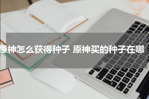 原神怎么获得种子 原神买的种子在哪