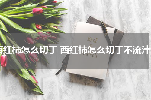西红柿怎么切丁 西红柿怎么切丁不流汁