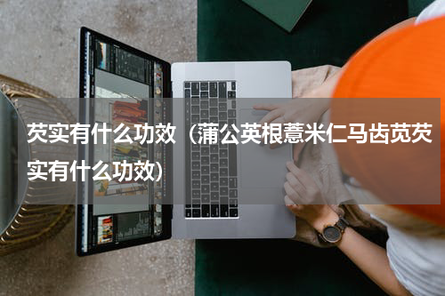 芡实有什么功效（蒲公英根薏米仁马齿苋芡实有什么功效）
