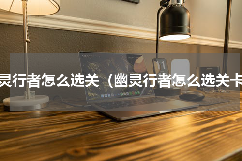 幽灵行者怎么选关（幽灵行者怎么选关卡）