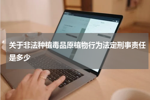 关于非法种植毒品原植物行为法定刑事责任是多少