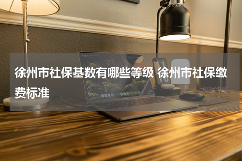 徐州市社保基数有哪些等级 徐州市社保缴费标准