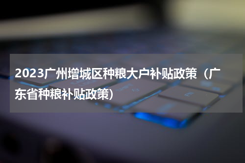2023广州增城区种粮大户补贴政策（广东省种粮补贴政策）
