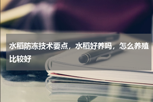 水稻防冻技术要点，水稻好养吗，怎么养殖比较好