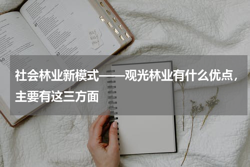 社会林业新模式——观光林业有什么优点，主要有这三方面