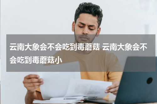云南大象会不会吃到毒蘑菇 云南大象会不会吃到毒蘑菇小