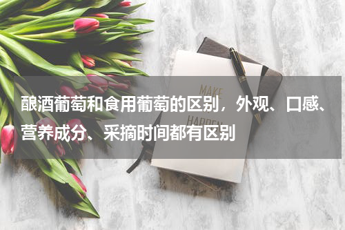 酿酒葡萄和食用葡萄的区别，外观、口感、营养成分、采摘时间都有区别