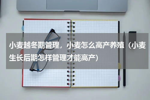 小麦越冬期管理，小麦怎么高产养殖（小麦生长后期怎样管理才能高产）