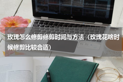 玫瑰怎么修剪修剪时间与方法（玫瑰花啥时候修剪比较合适）