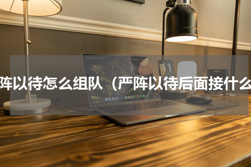 严阵以待怎么组队（严阵以待后面接什么）