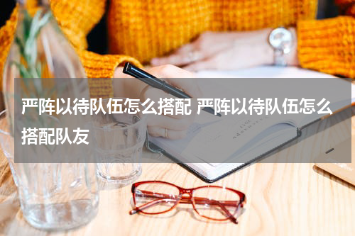 严阵以待队伍怎么搭配 严阵以待队伍怎么搭配队友