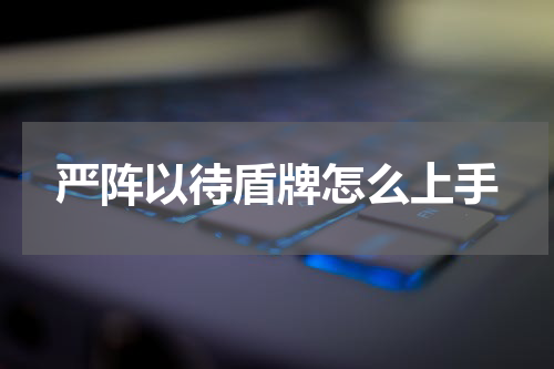 严阵以待盾牌怎么上手