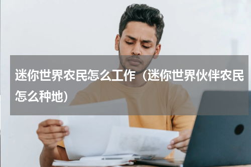 迷你世界农民怎么工作（迷你世界伙伴农民怎么种地）