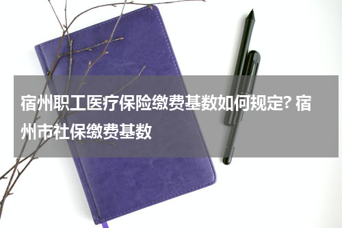 宿州职工医疗保险缴费基数如何规定? 宿州市社保缴费基数