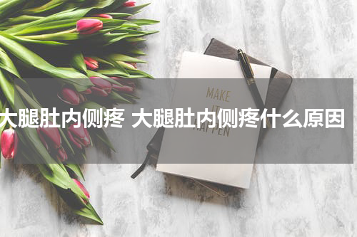 大腿肚内侧疼 大腿肚内侧疼什么原因