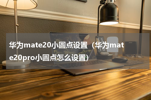 华为mate20小圆点设置（华为mate20pro小圆点怎么设置）