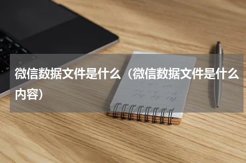 微信数据文件是什么（微信数据文件是什么内容）